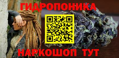 тгк Кимры