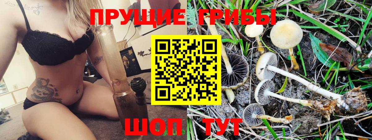 Псилоцибиновые грибы GOLDEN TEACHER  Вход с VPN  Котлас 