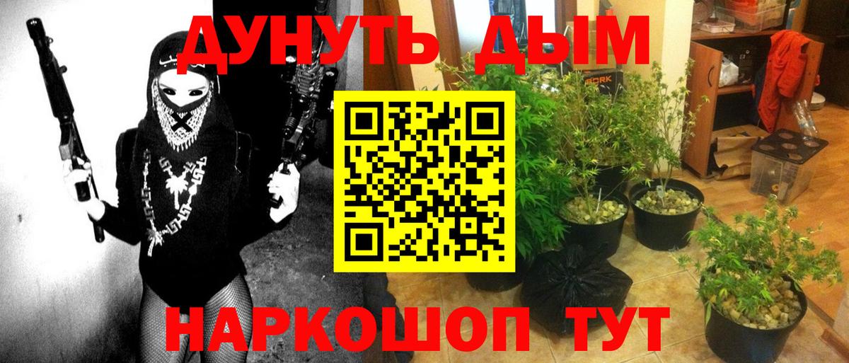 Конопля SATIVA & INDICA Котлас